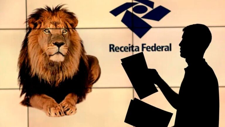 Como declarar imposto de renda?